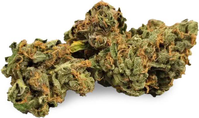 Island Sweet Skunk: IndiMed 20/1 ISS DE - Aurora Cannabis